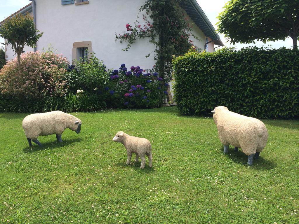 Les Volets Bleus Acomodação com café da manhã Arcangues Exterior foto